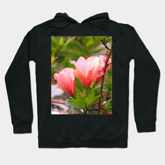 hibiscus Hoodie by terezadelpilar